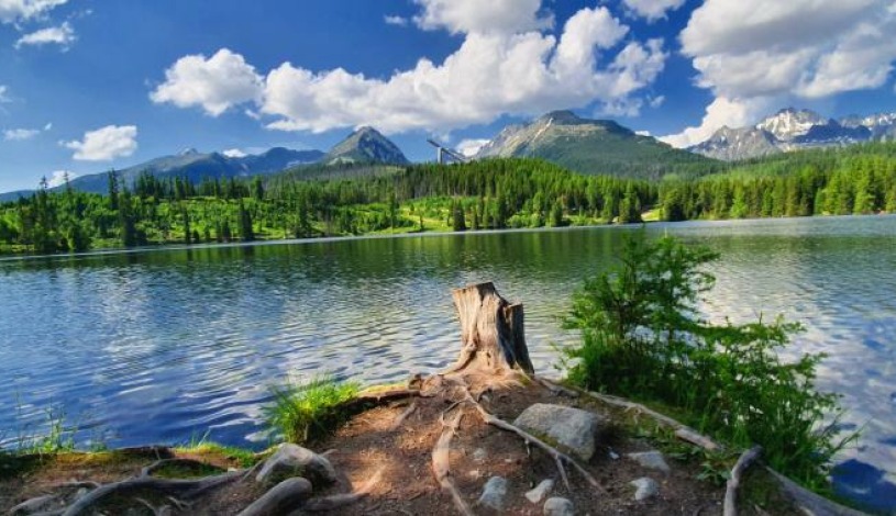 Hotel CROCUS **** Vysoké Tatry